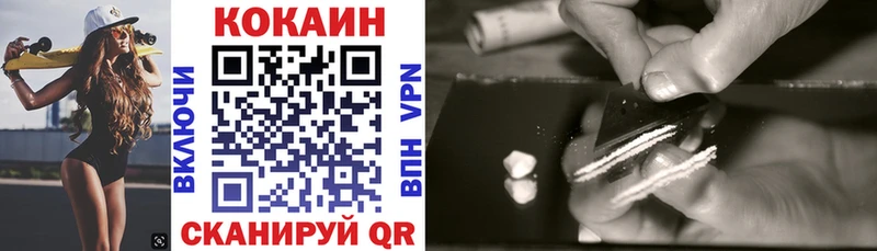 Кокаин FishScale  где найти   Терек 