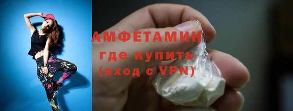хмурый Пересвет
