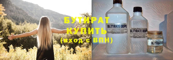 хмурый Пересвет