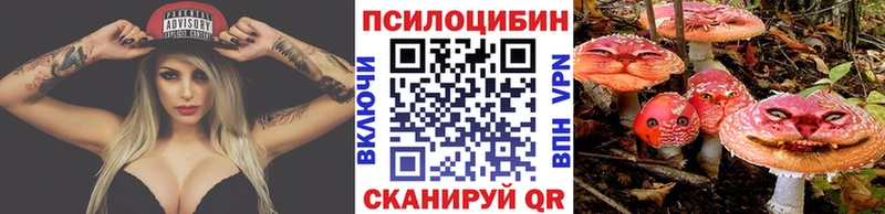 Псилоцибиновые грибы Psilocybine cubensis  Терек 